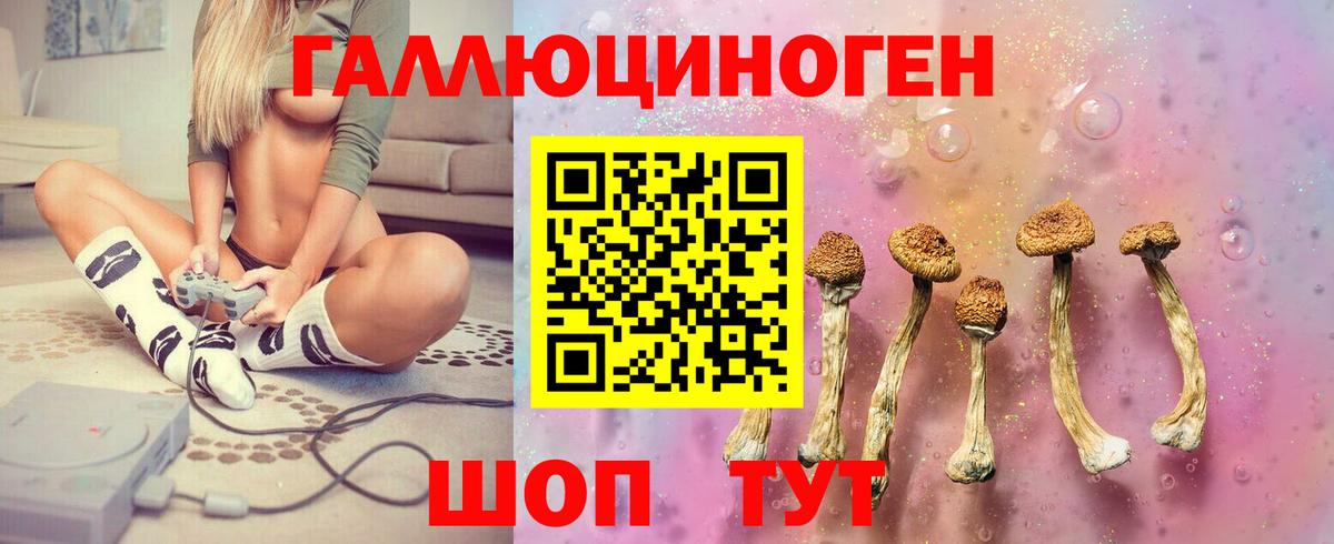 Кыштым  Псилоцибиновые грибы Cubensis  Вход с VPN 